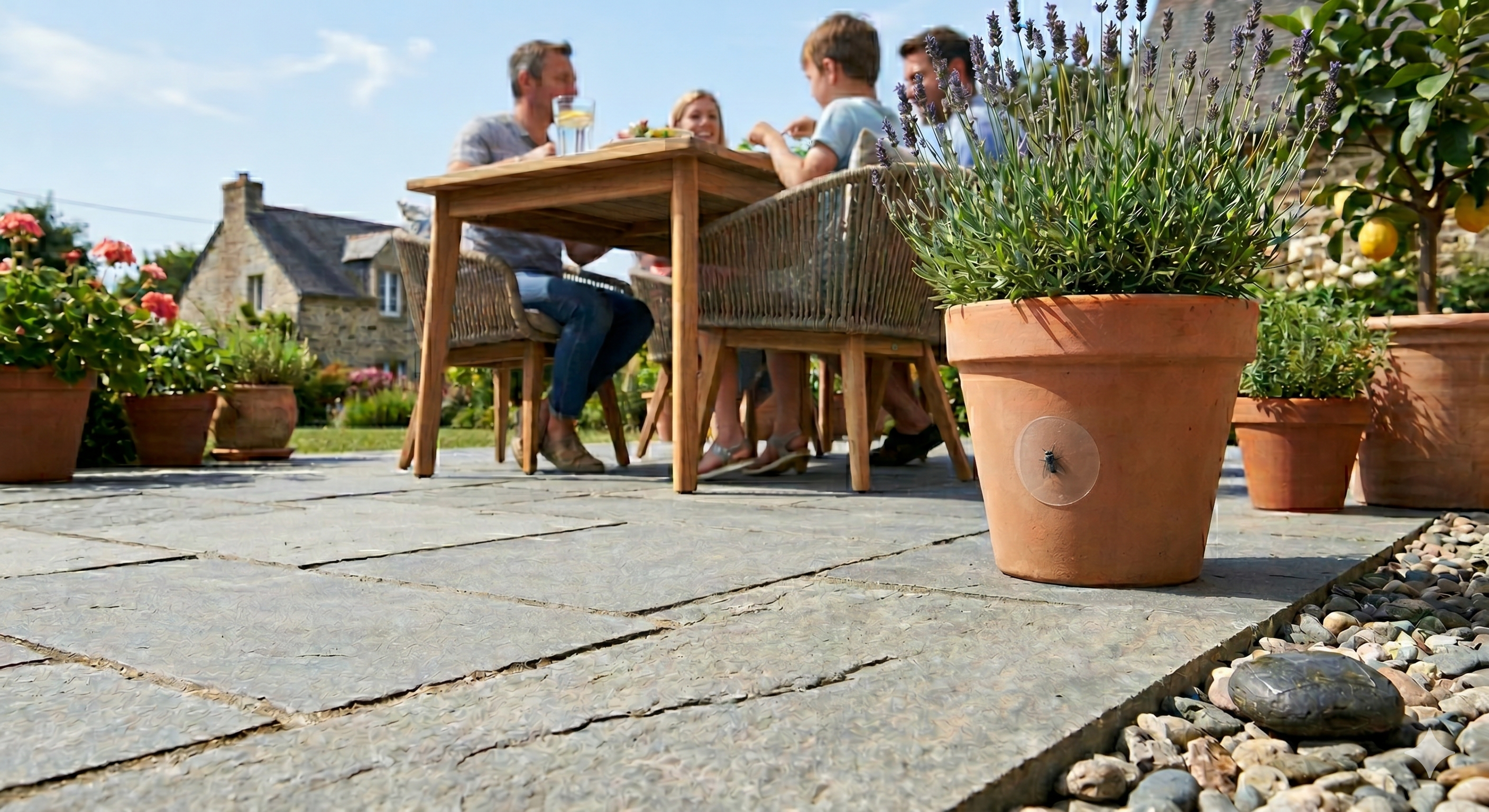 Discreet Fly Traps for Your Patio: 7 Solutions That Won't Ruin the Vibe (2026)